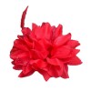 Bijoux de tête fleur rouge
